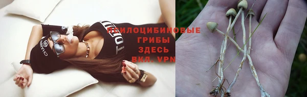 трава Алзамай